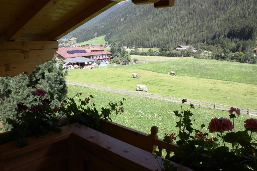 Landhaus Alpensonne Neustift im Stubaital Kültér fotó