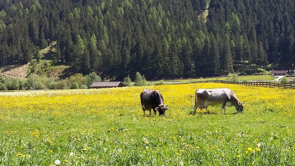 Landhaus Alpensonne Neustift im Stubaital Kültér fotó